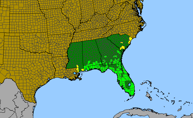 The range of Sabatia decandra